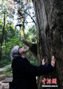 东西问丨美国学者攀登古蜀道：“它是中国给世界的珍贵馈赠”